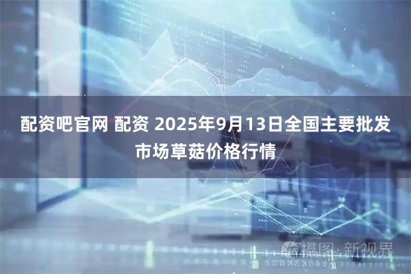 配资吧官网 配资 2025年9月13日全国主要批发市场草菇价格行情
