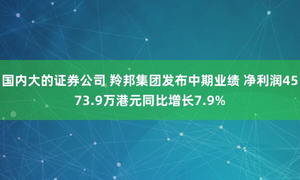 国内大的证券公司 羚邦集团发布中期业绩 净利润4573.9万港元同比增长7.9%